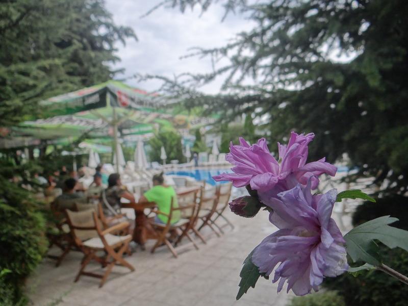 Hotel Boomerang - ساني بيتش المظهر الخارجي الصورة
